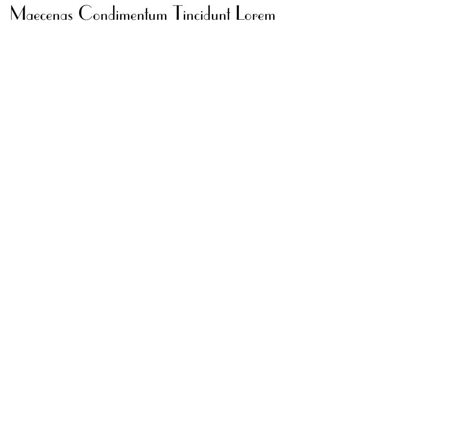 Maecenas Condimentum Tincidunt Lorem 